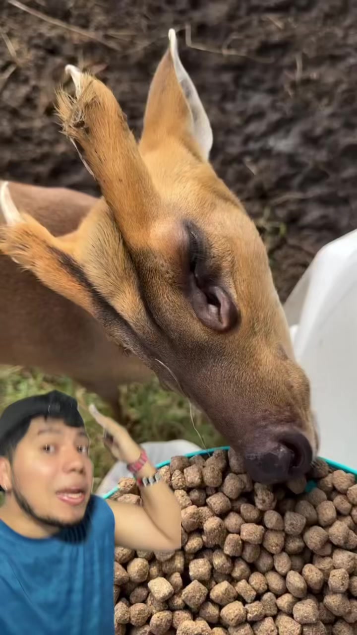 @Soy Sebassalvaje (d&uacute;os)