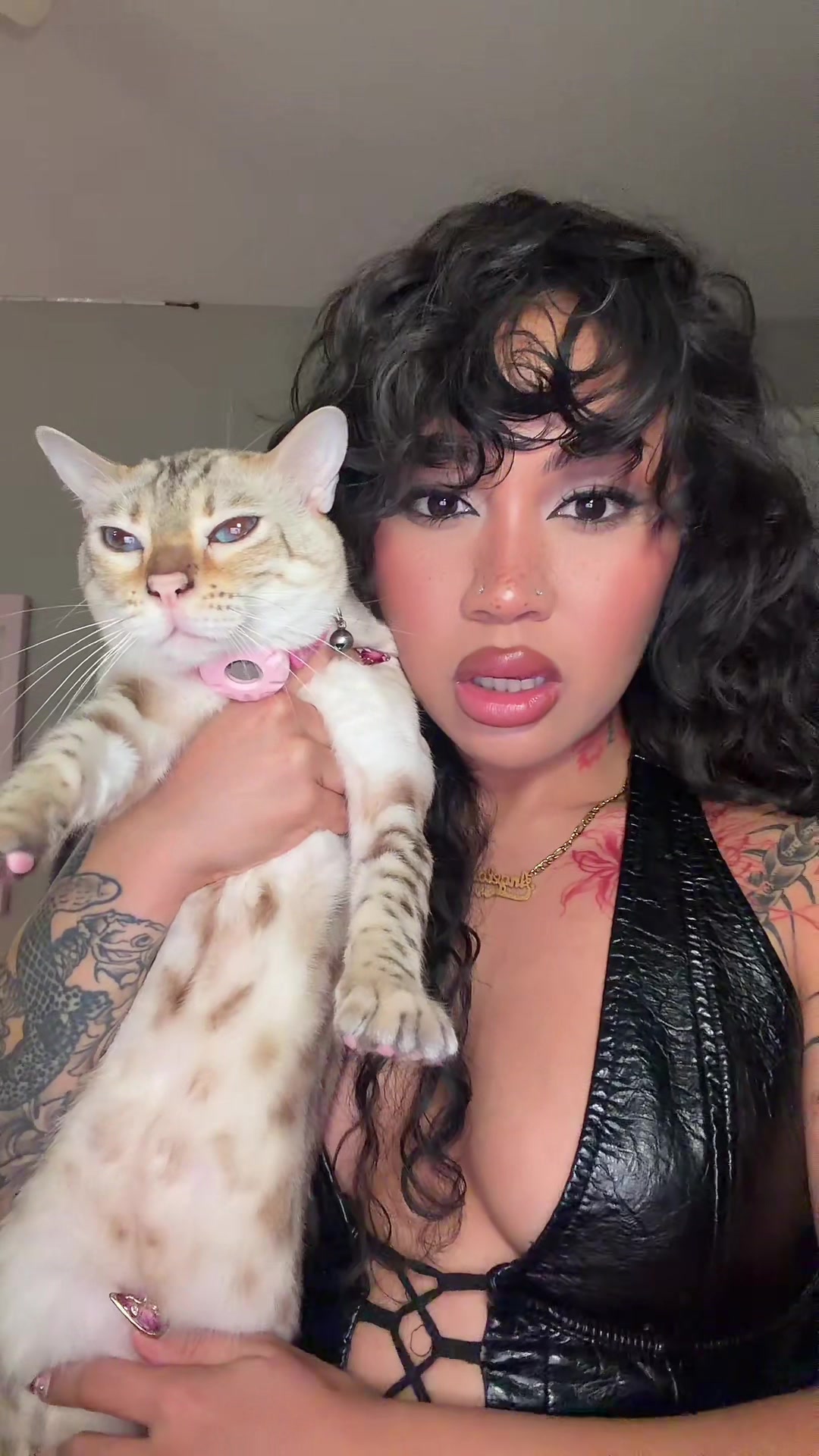 @Mirajane The Bengal🐾