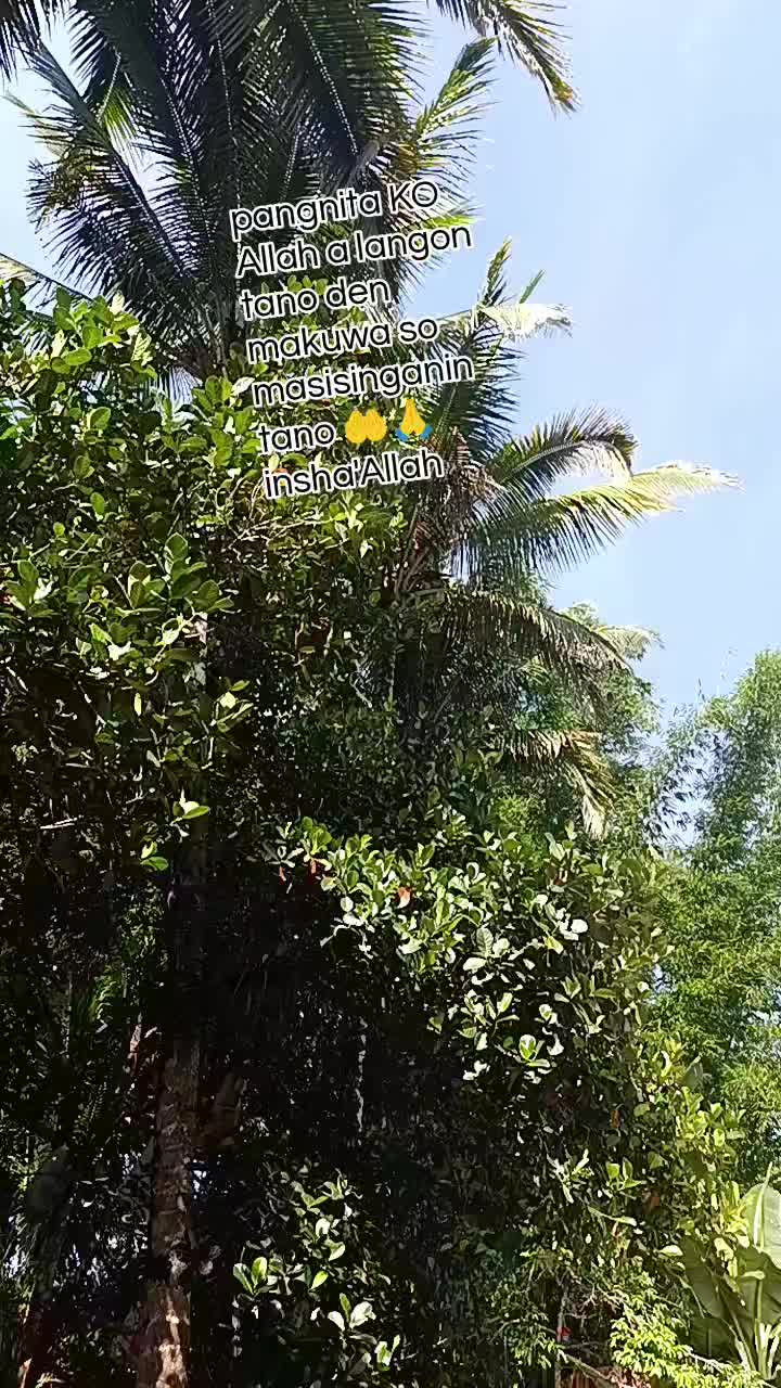 @Nor Hai Na