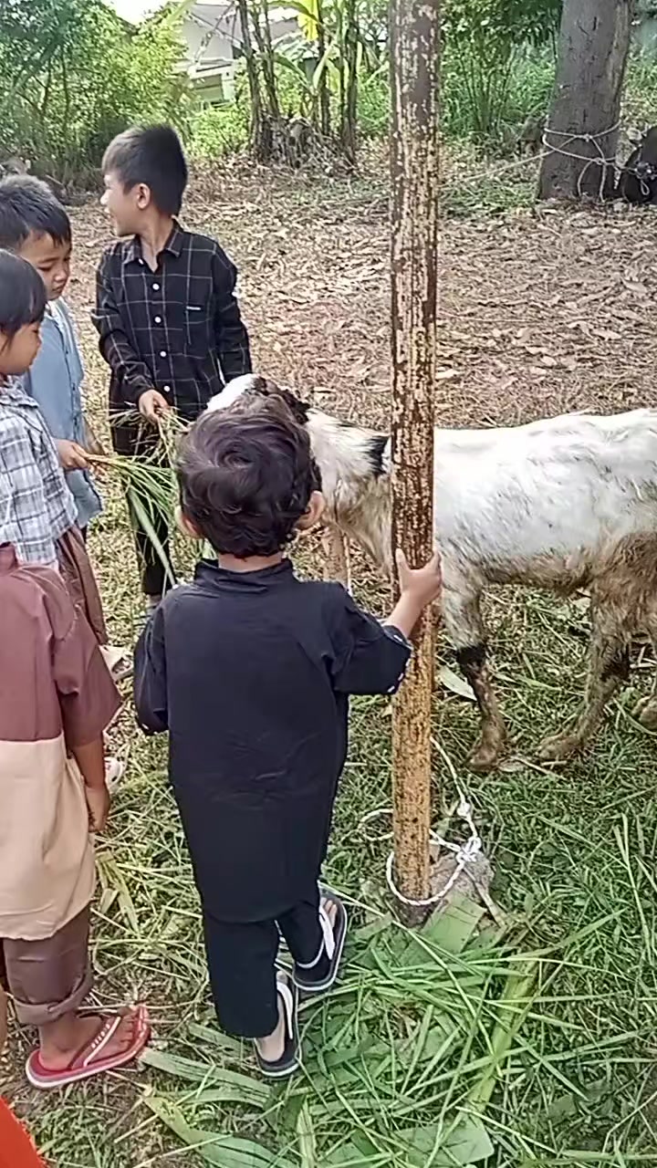 @Mulyani Sri
