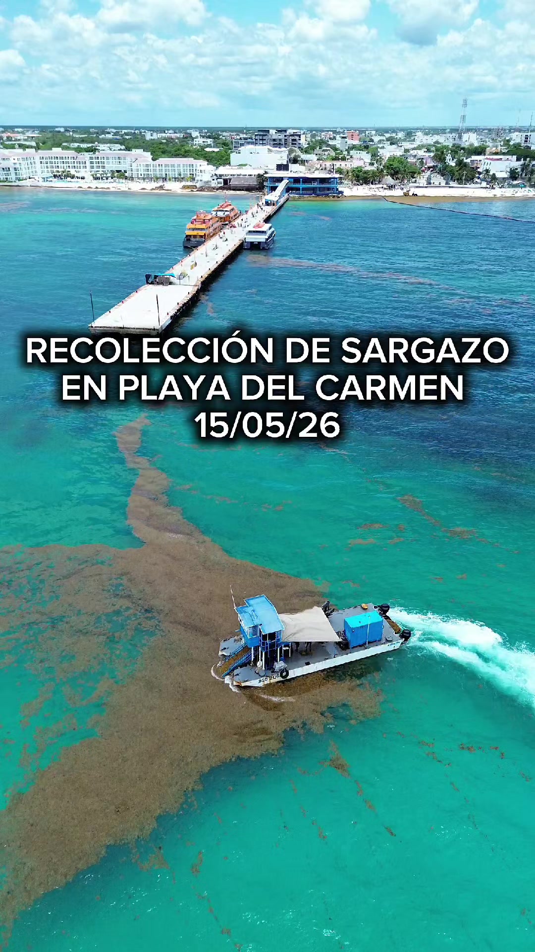 @Playa del Carmen México