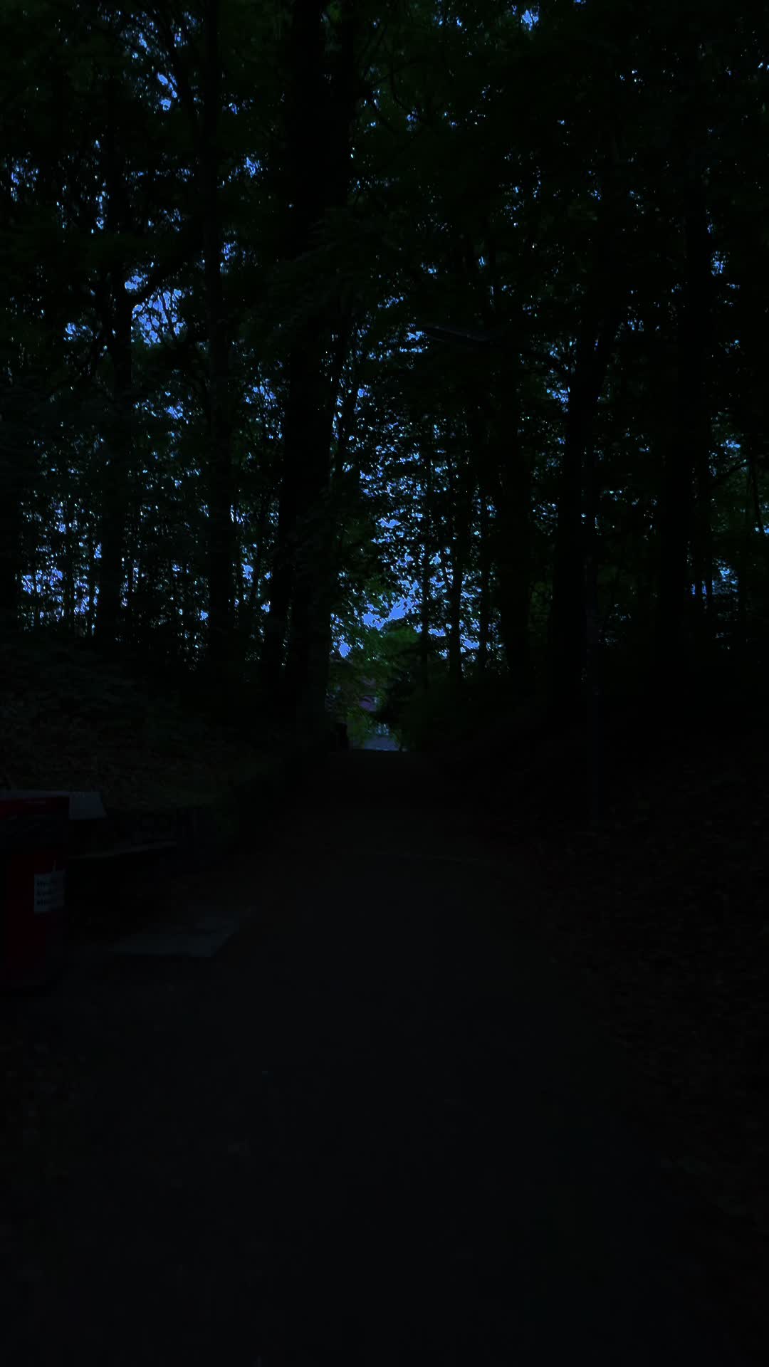 @𝔰𝔞𝔯𝔞 𖤐･ﾟ*ೃ