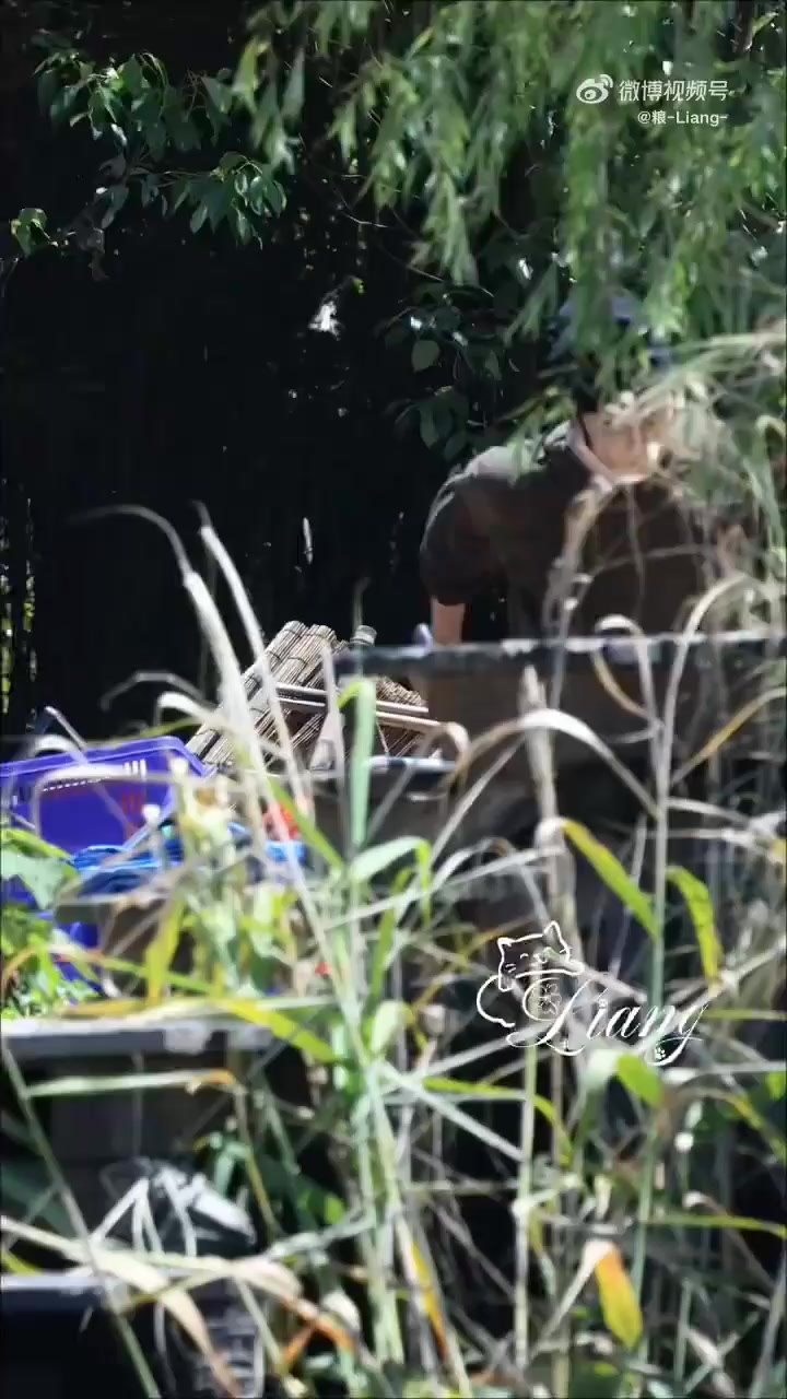 @jangkaru