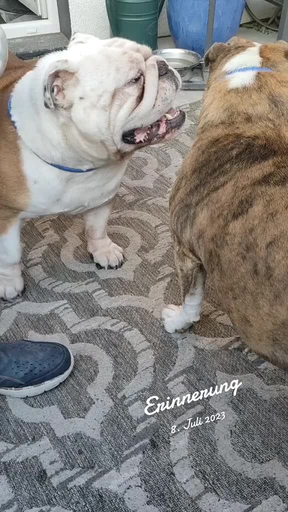 @cori.friedy.toni