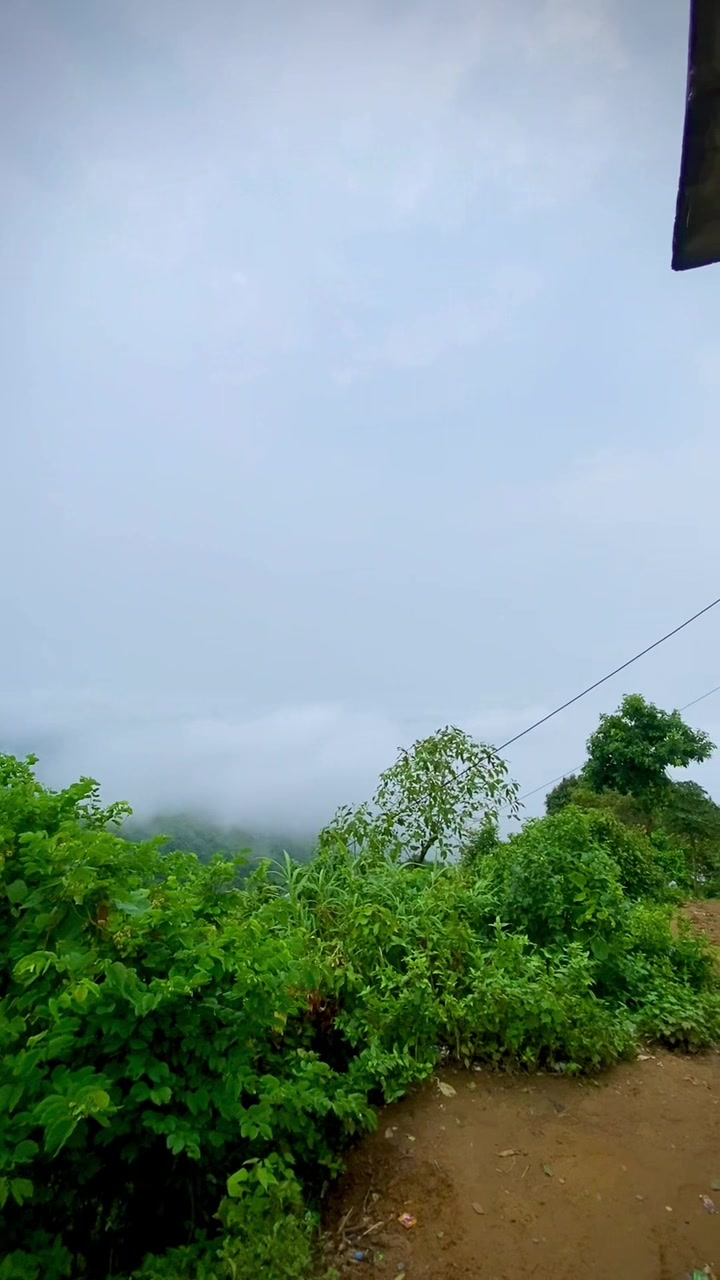 @🕊️🍃𝐓𝐀 𝐒 𝐈𝐍🍃🕊️