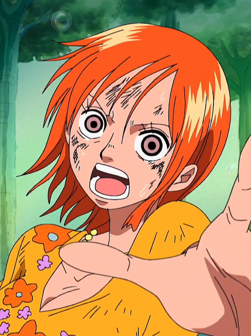 @One Piece ☠️