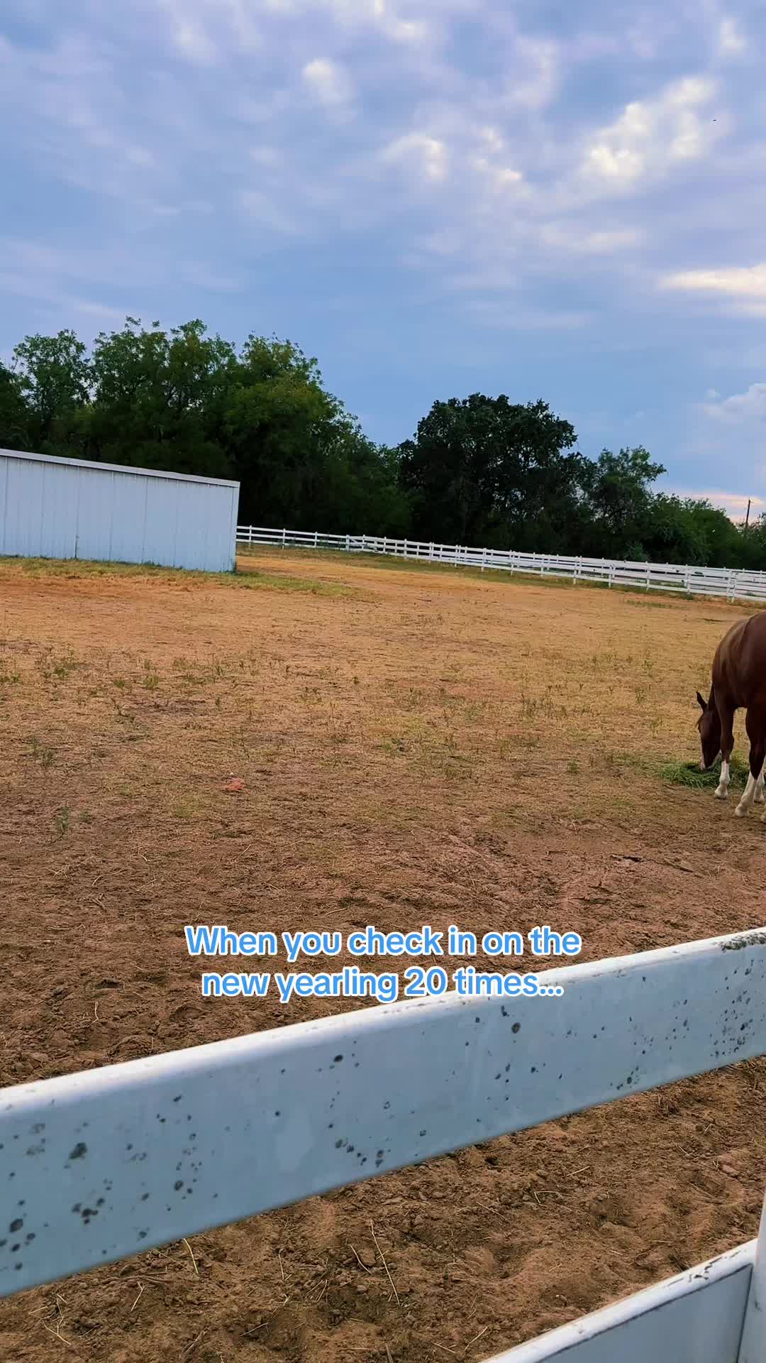 @Freedom Equestrian Center