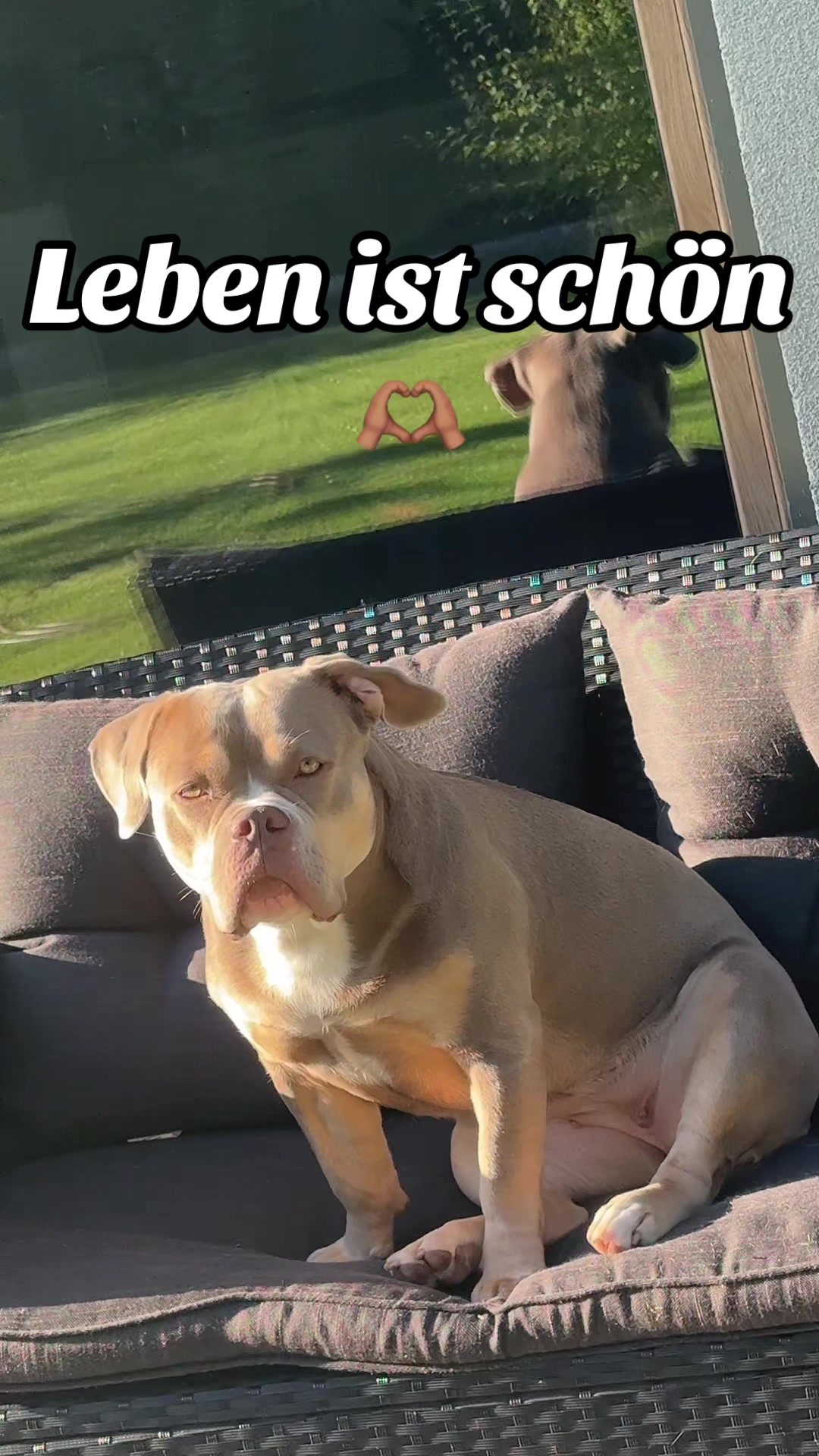 @Milly 🐶🥰