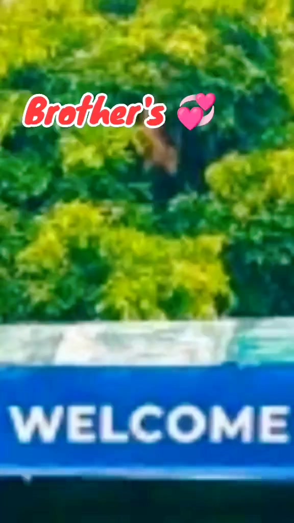 @Mehar Majo🇵🇰