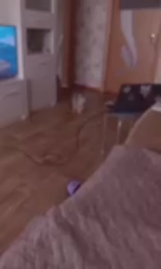 @szlbt