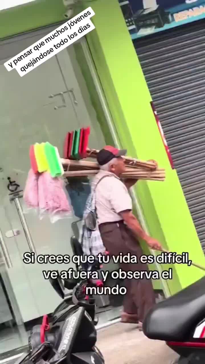 @pisote+504