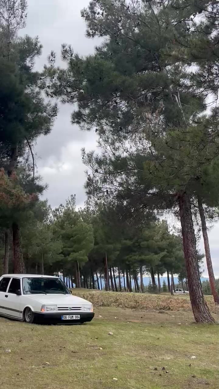 @Mehmetdursun5506