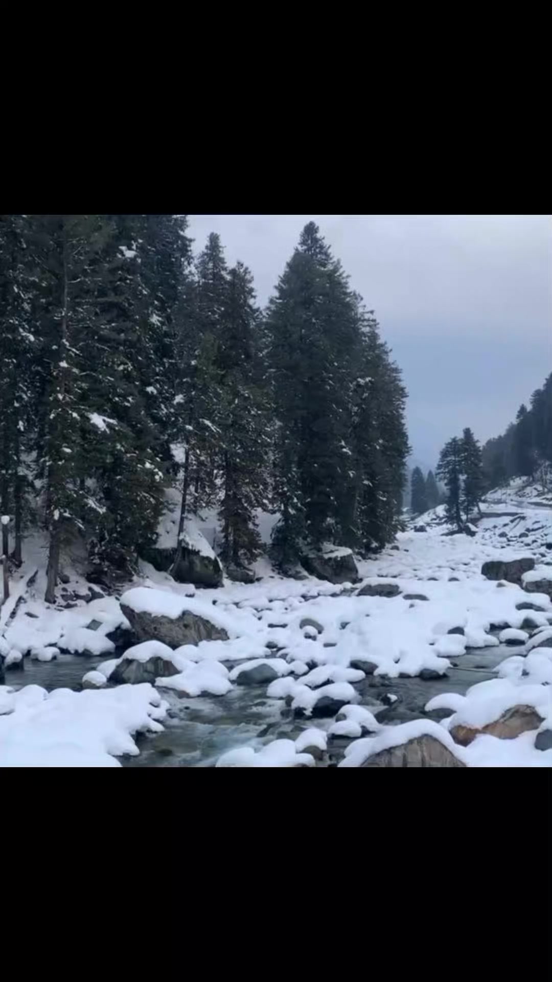 @simply_zaini