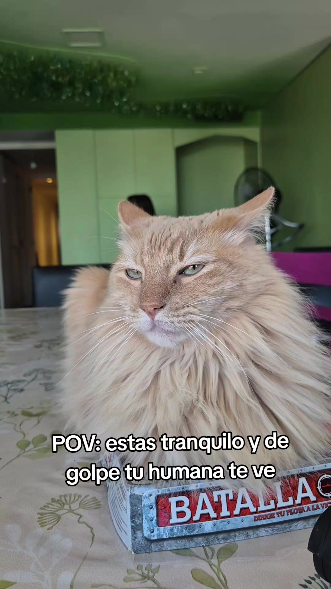 @Jessica Victoria Ell