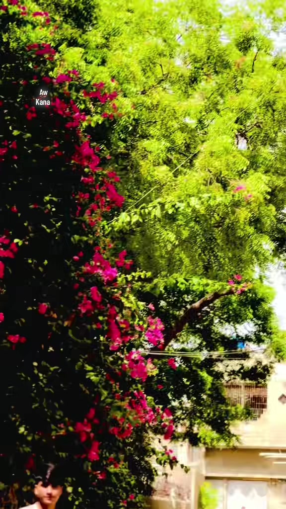 @𓂀 𝕂𝔸𝕊ℍ𝕄𝕀ℝ𝕐 𝔹ℝ𝔸ℕ𝔻 𓂀
