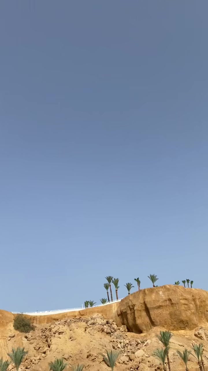 @cthpdsh