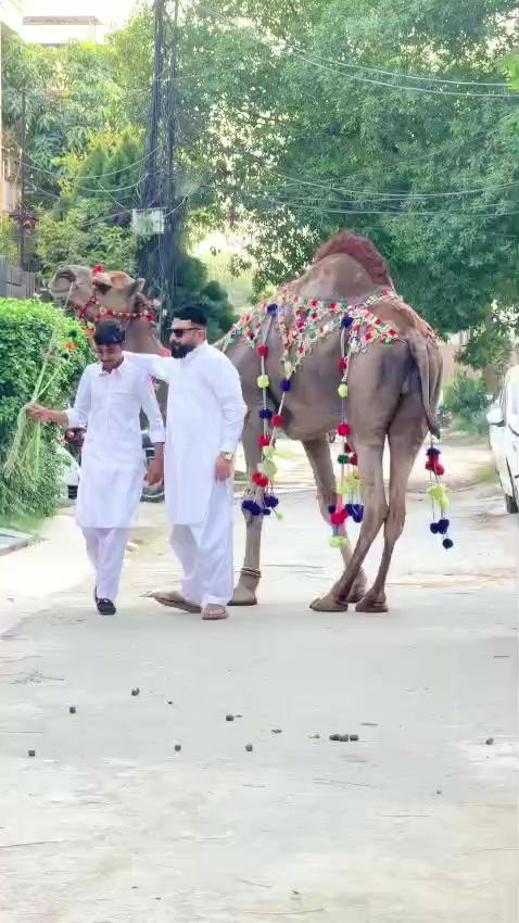@نعیم جٹ 💕