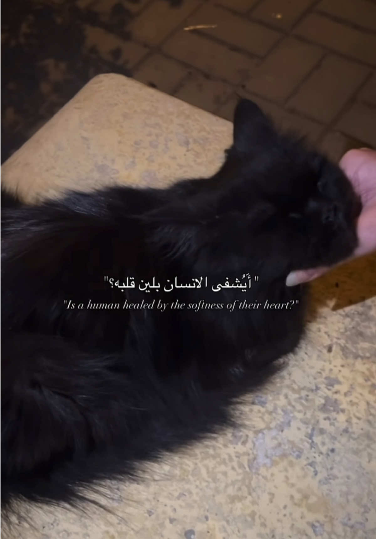 @𝐀𝐌𝐈𝐑𝐀