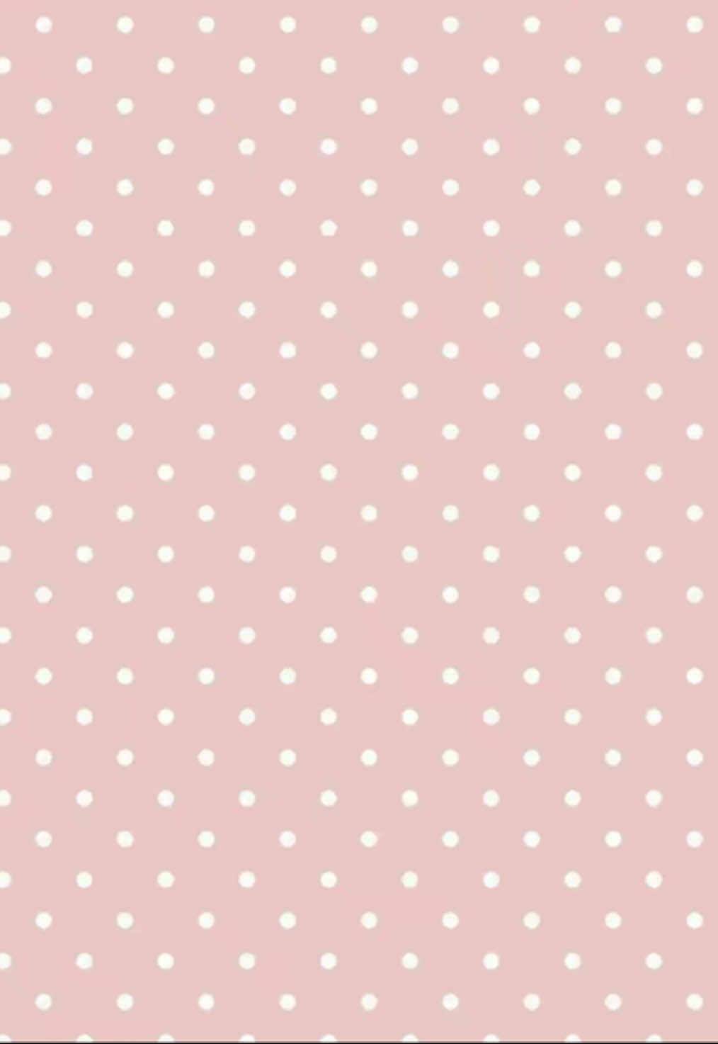 @꒰ঌ ⋮🧸ྀི ⋮ 𝐷𝑎𝑝ℎ𝑛𝑒 .ᐟ ໒꒱