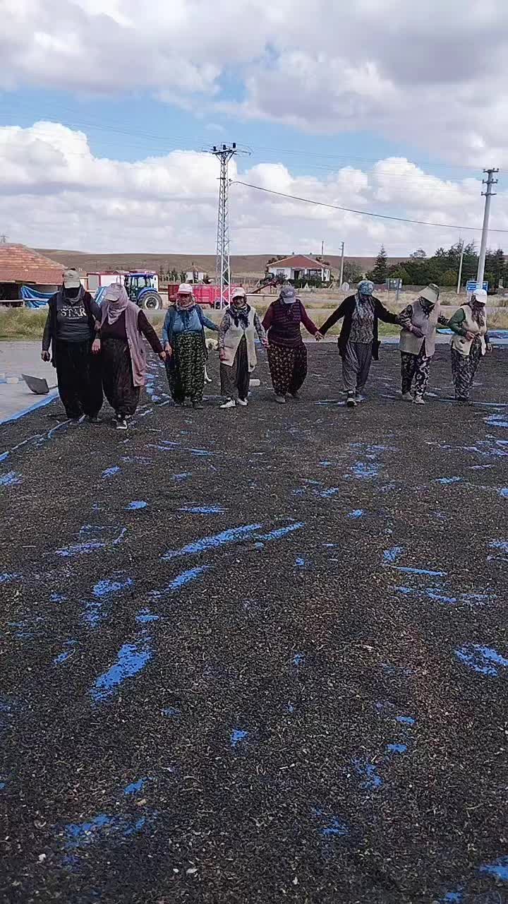 @Ayşegül_ 42