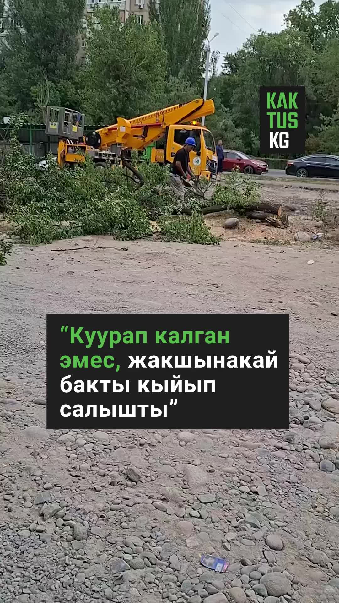 @Kaktus KG