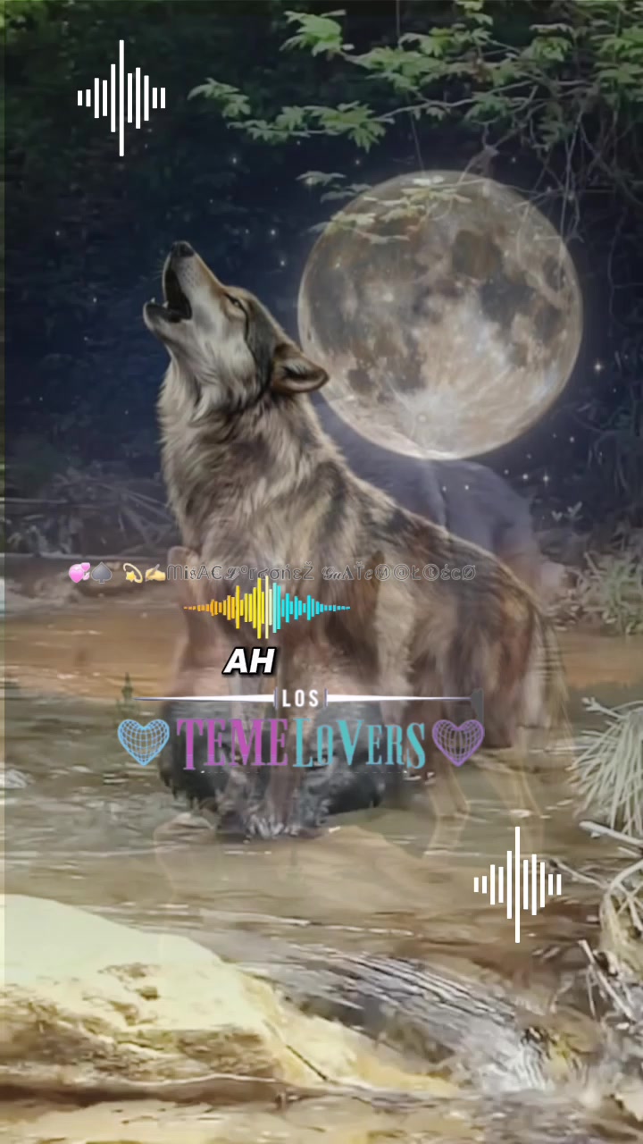 @🥷🎶🐺Lóbítá🫶Dj🐺🎶🥷