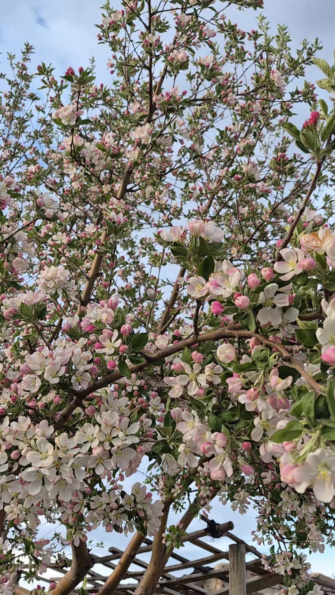 @🇹🇷Murat19051🇹🇷
