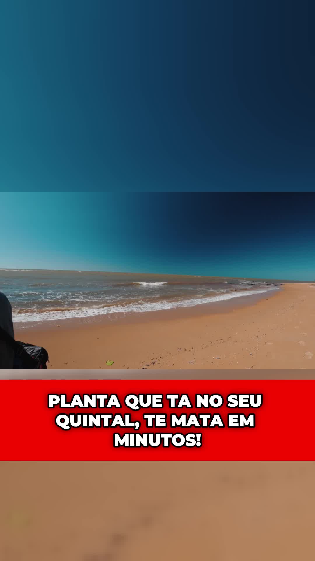 @chefaochx