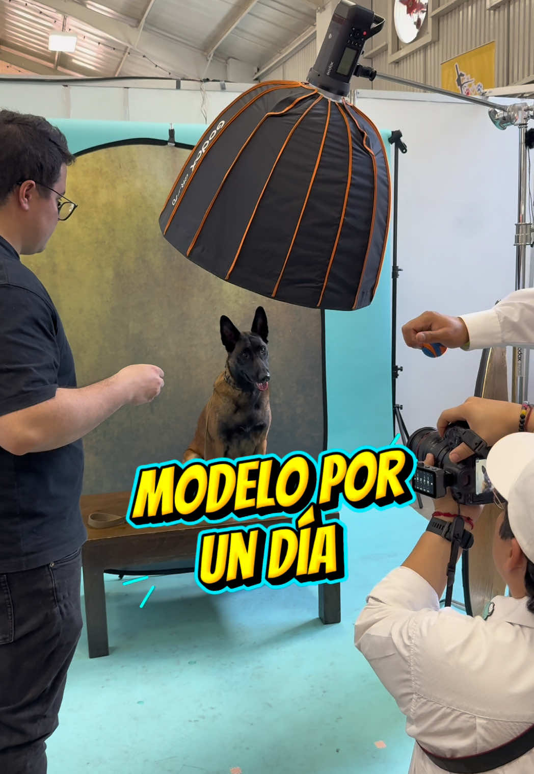 @simon_elmalinois