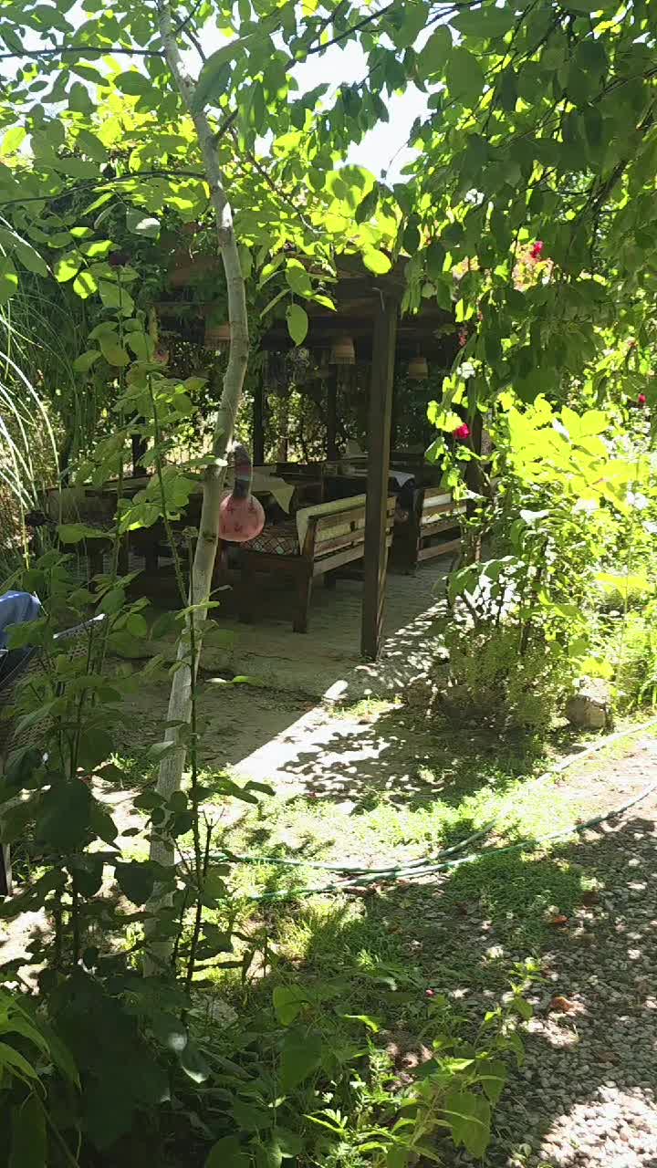 @TC Cigdem Korkmaz De