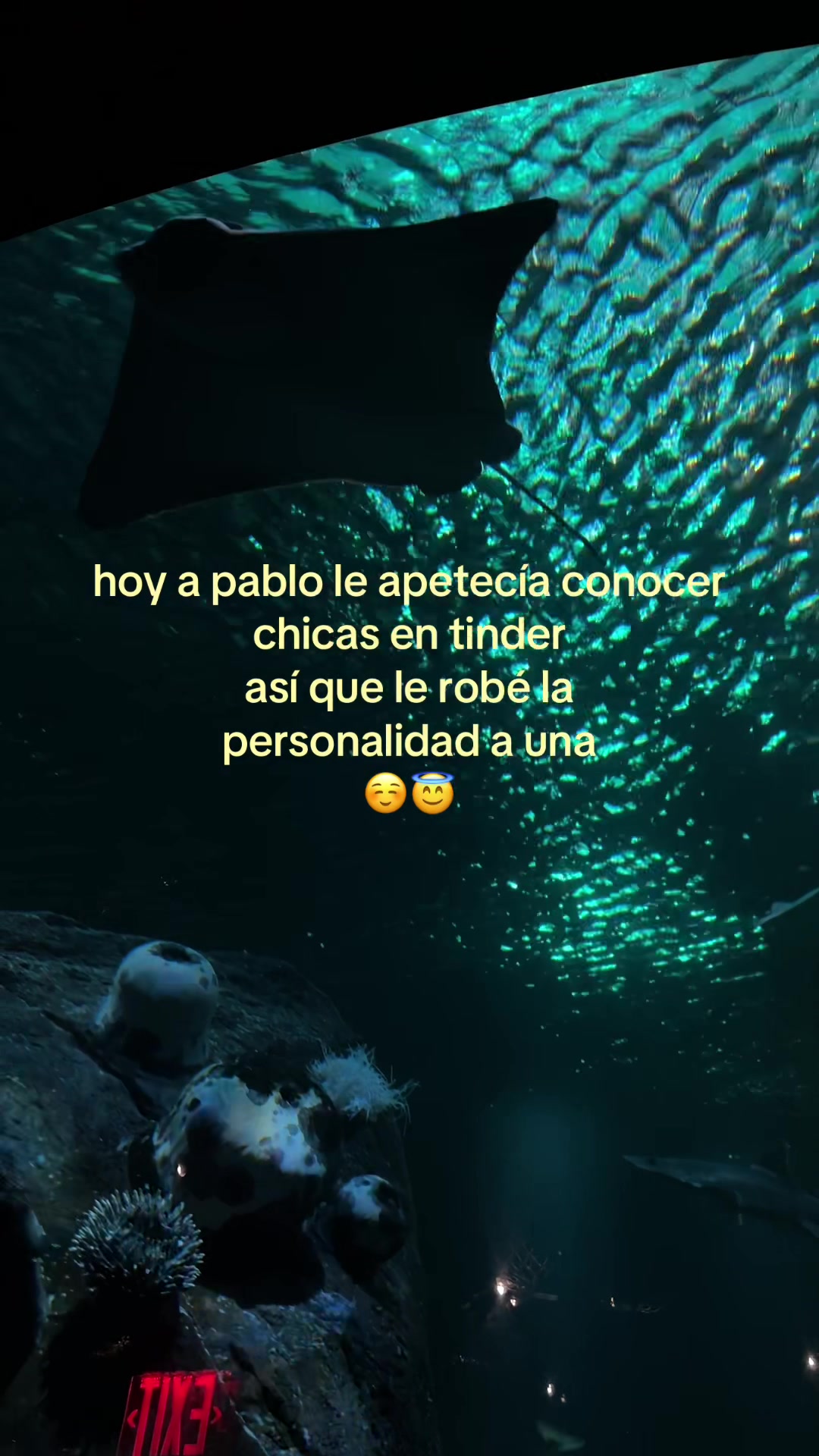 @cuddletimexoxo