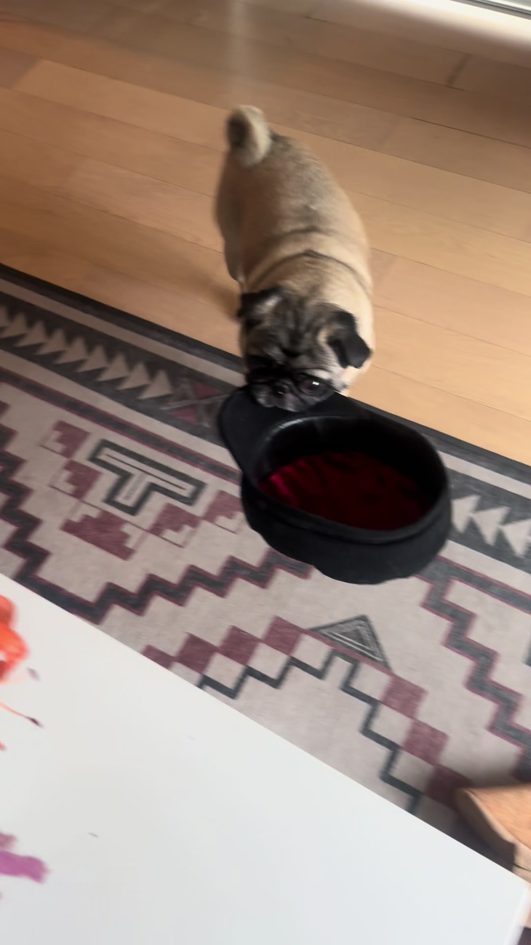 @thepugfang