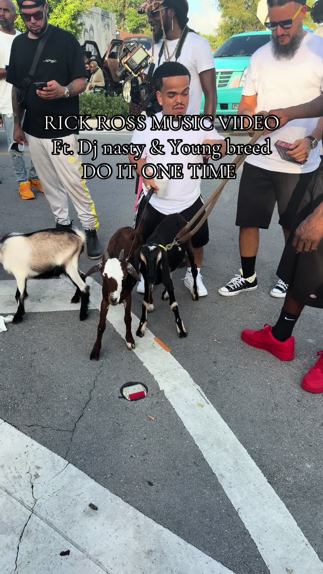 @AJ 🇭🇹