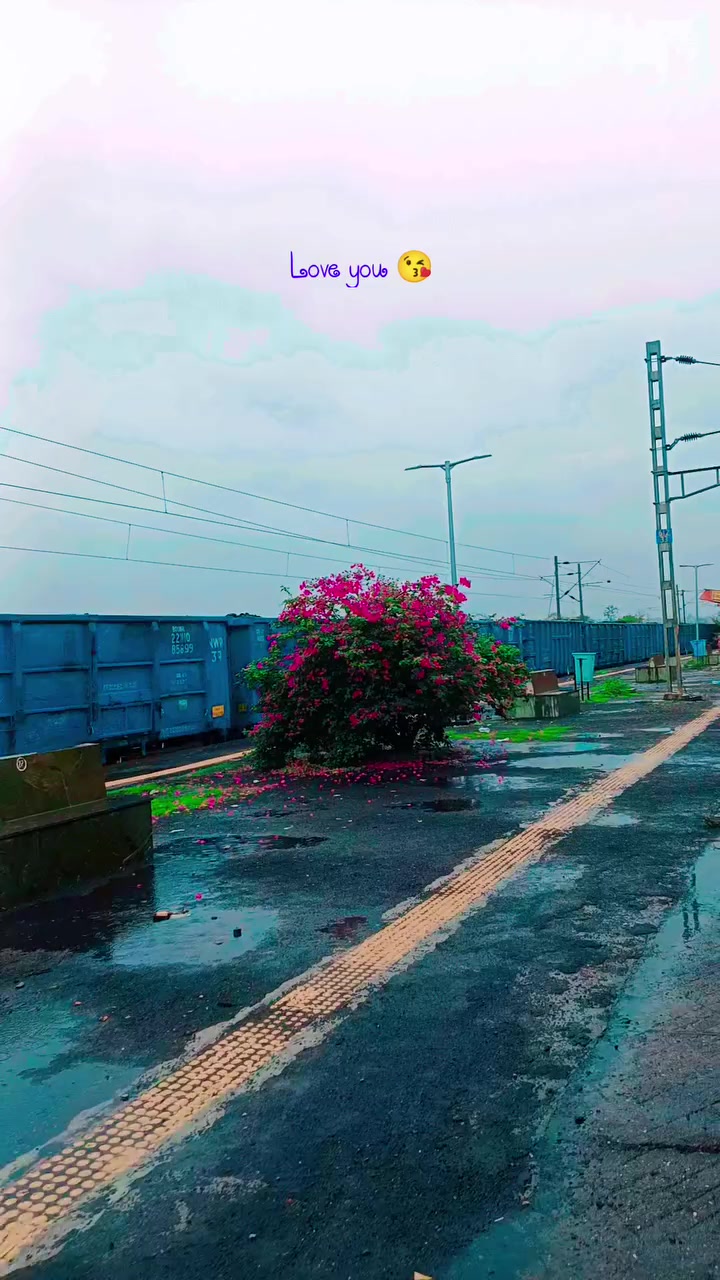 @nawab king🤴 👑