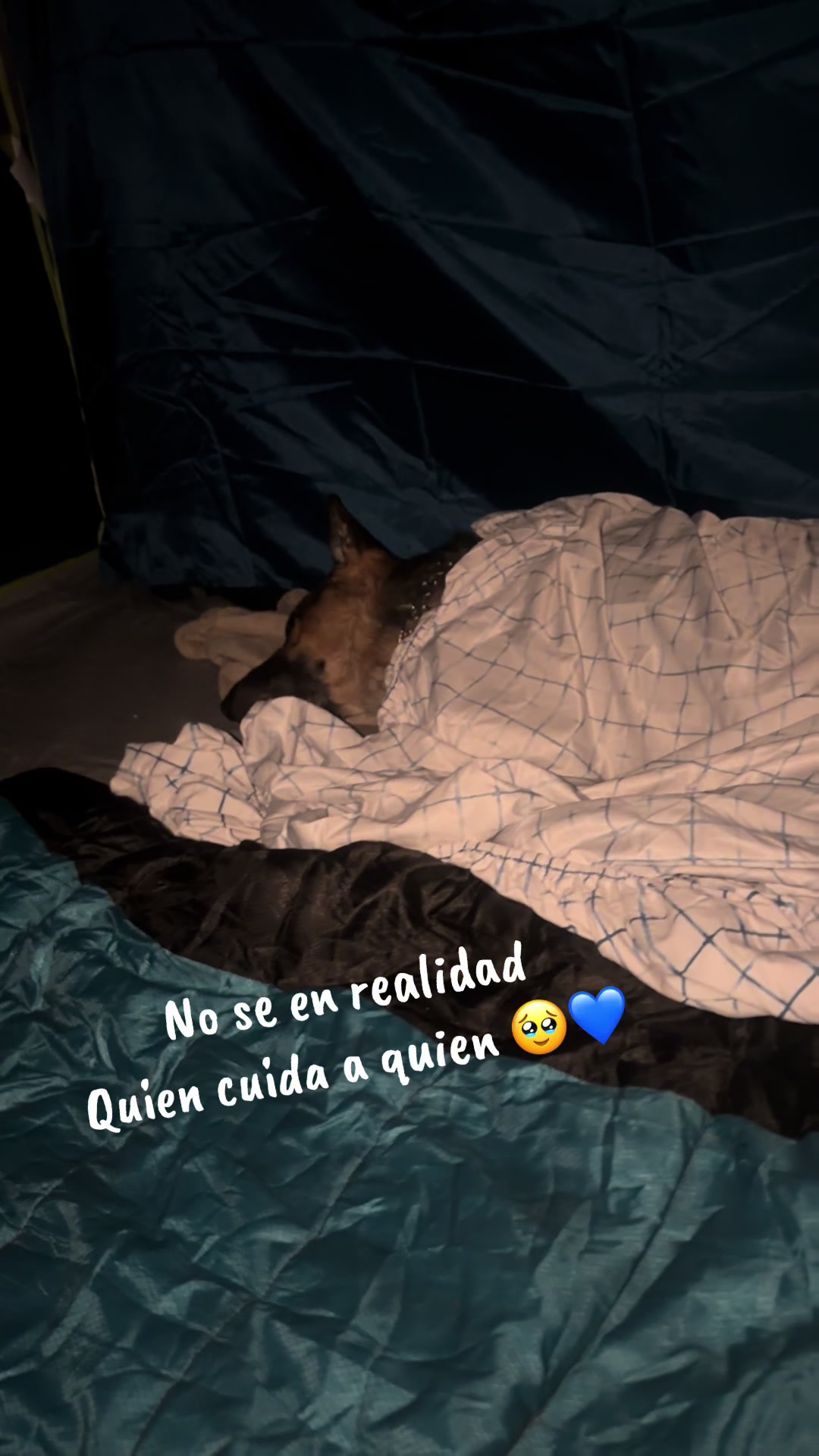 @Maria✨