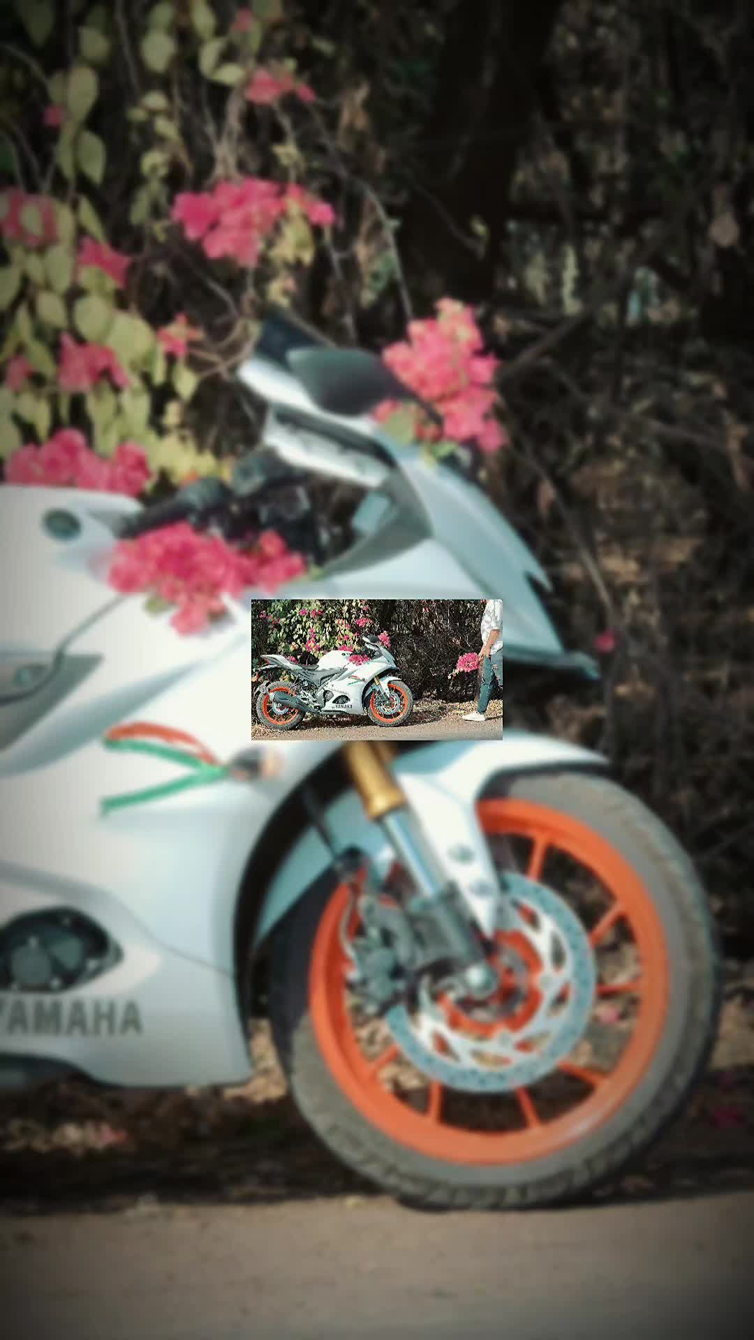 @D Ï Ñ Ê ẞ H ...........❣️