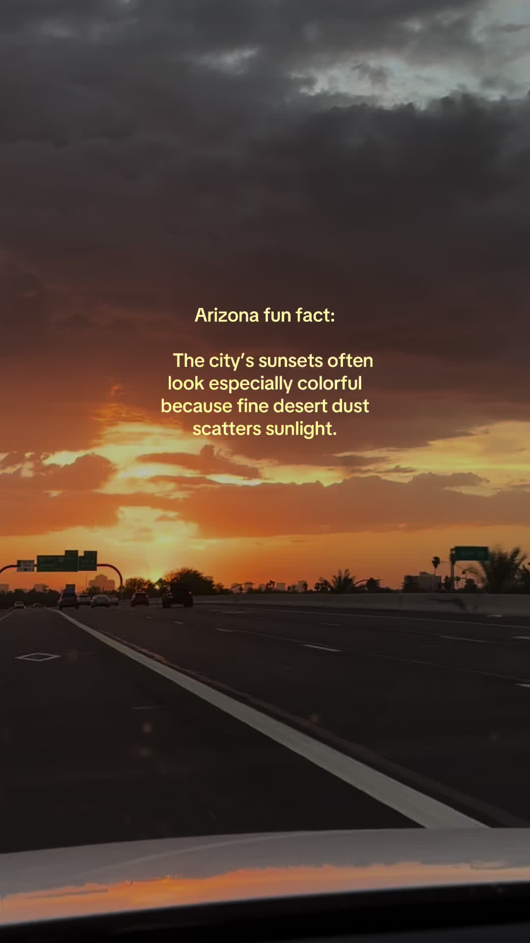 @Local Arizona Life