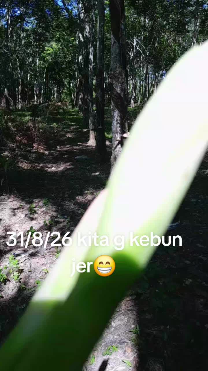 @BOB