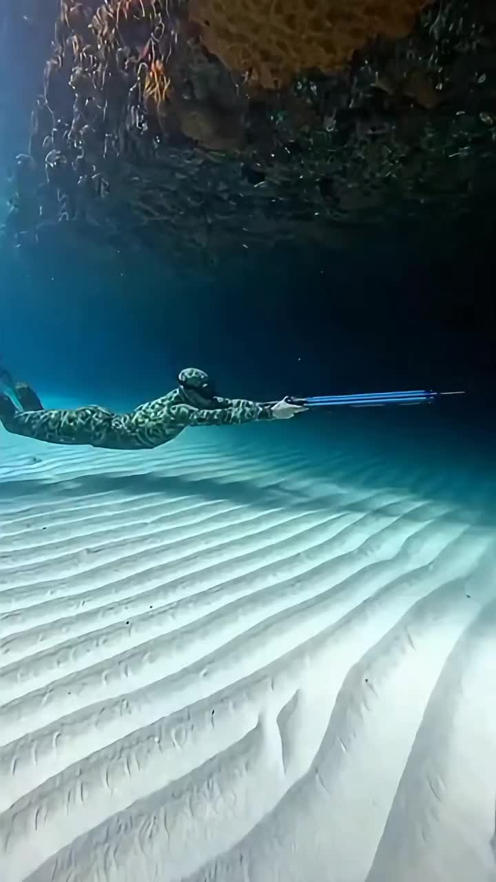 @northsea