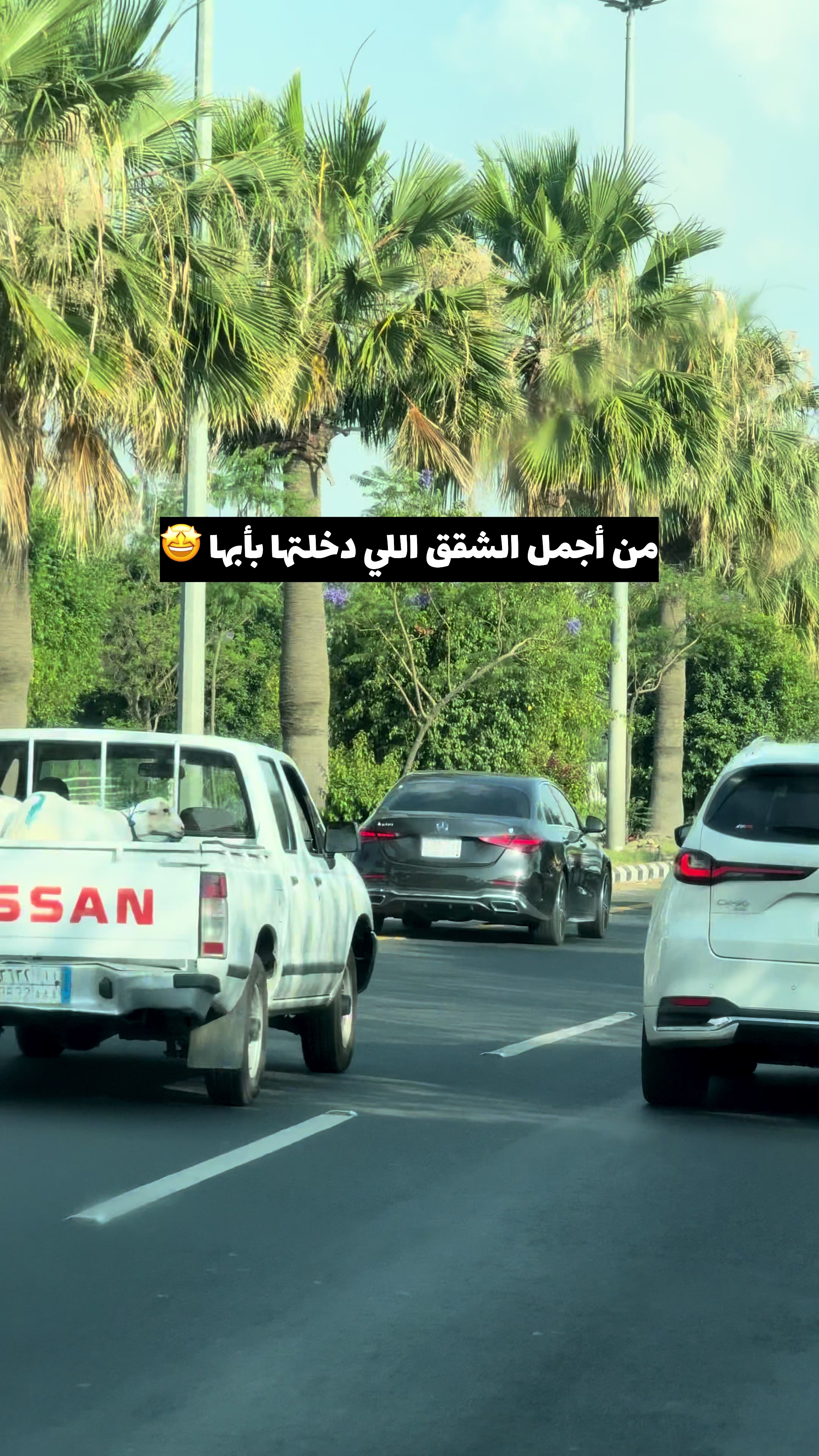 @الــاء العسيري | أبها 🍃