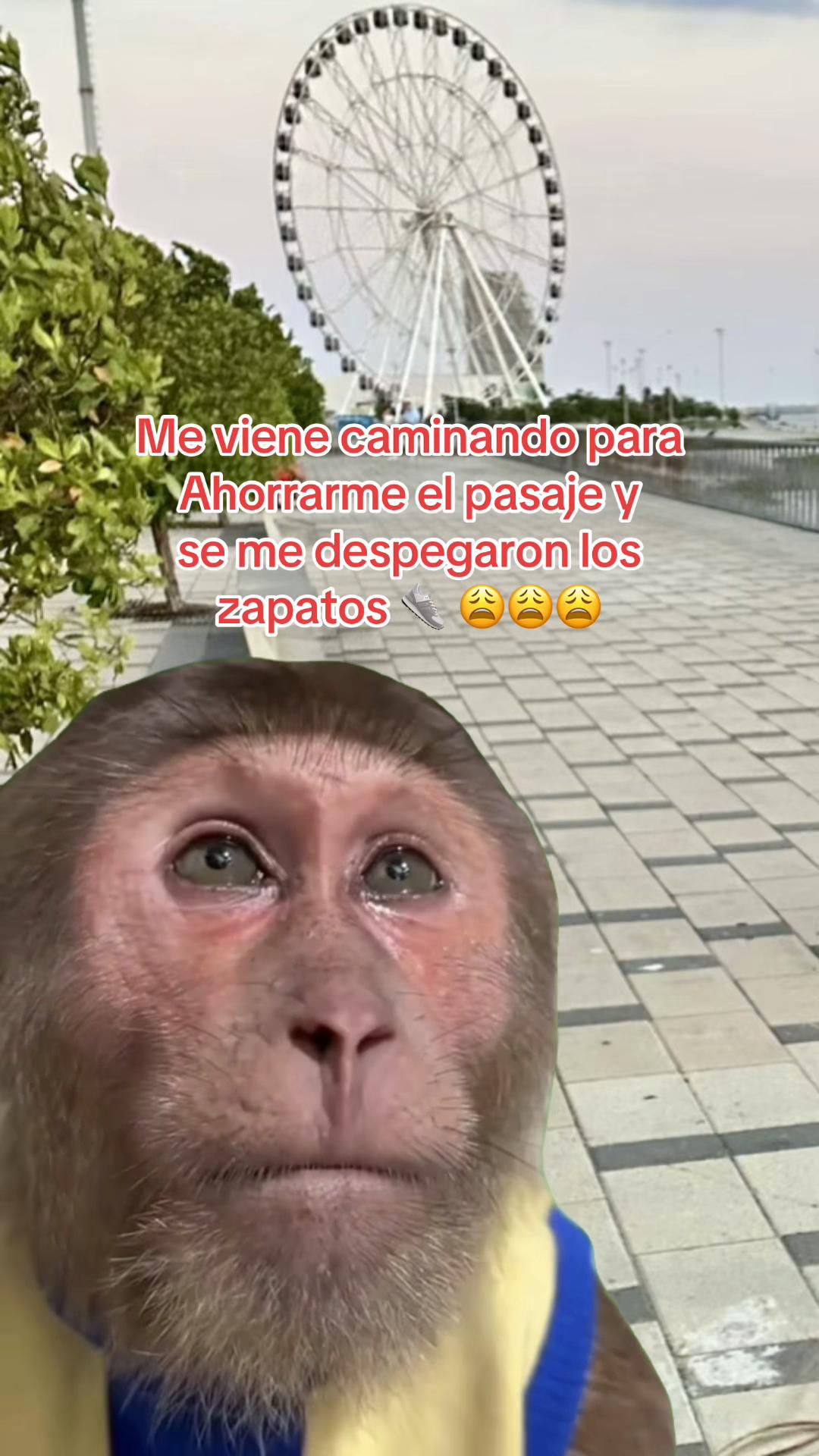 @LUZ RUEDA
