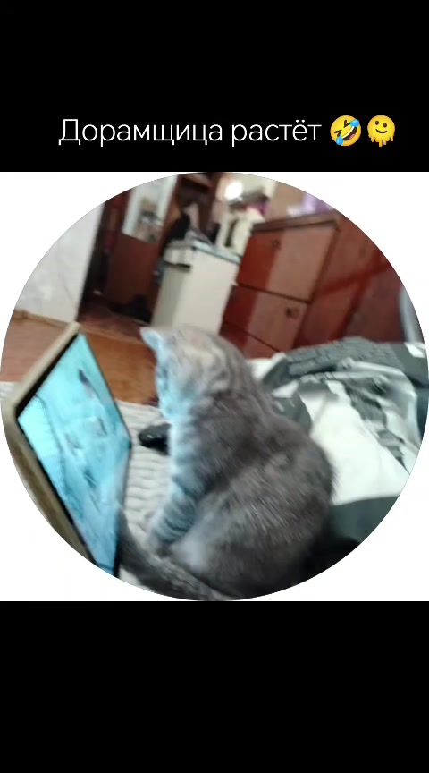 @𝐋𝐚𝐝𝐲✯𝐌𝐢𝐥𝐥𝐞𝐫