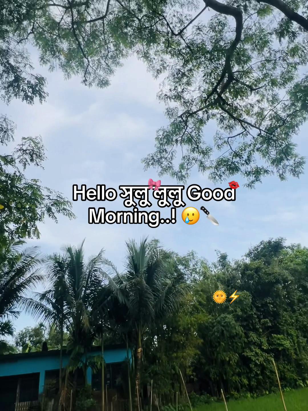 @টিক-টিকি