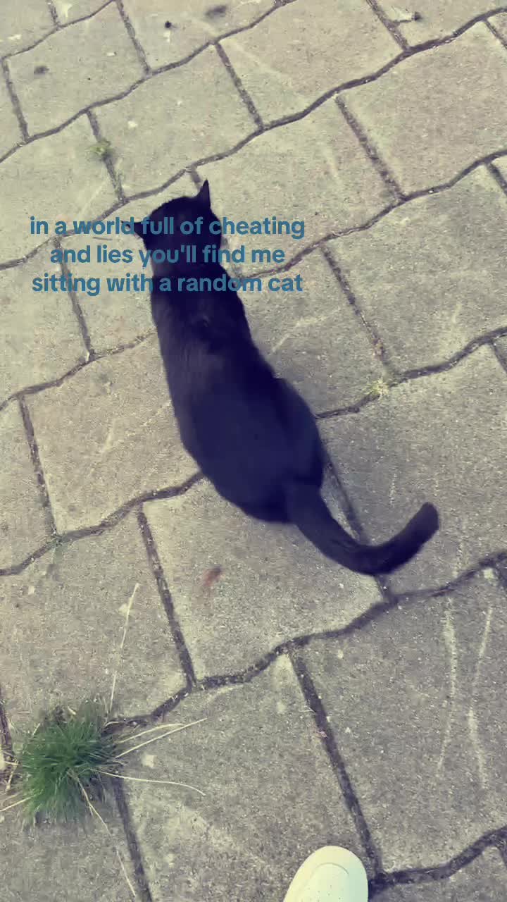 @ᴀʀɪ