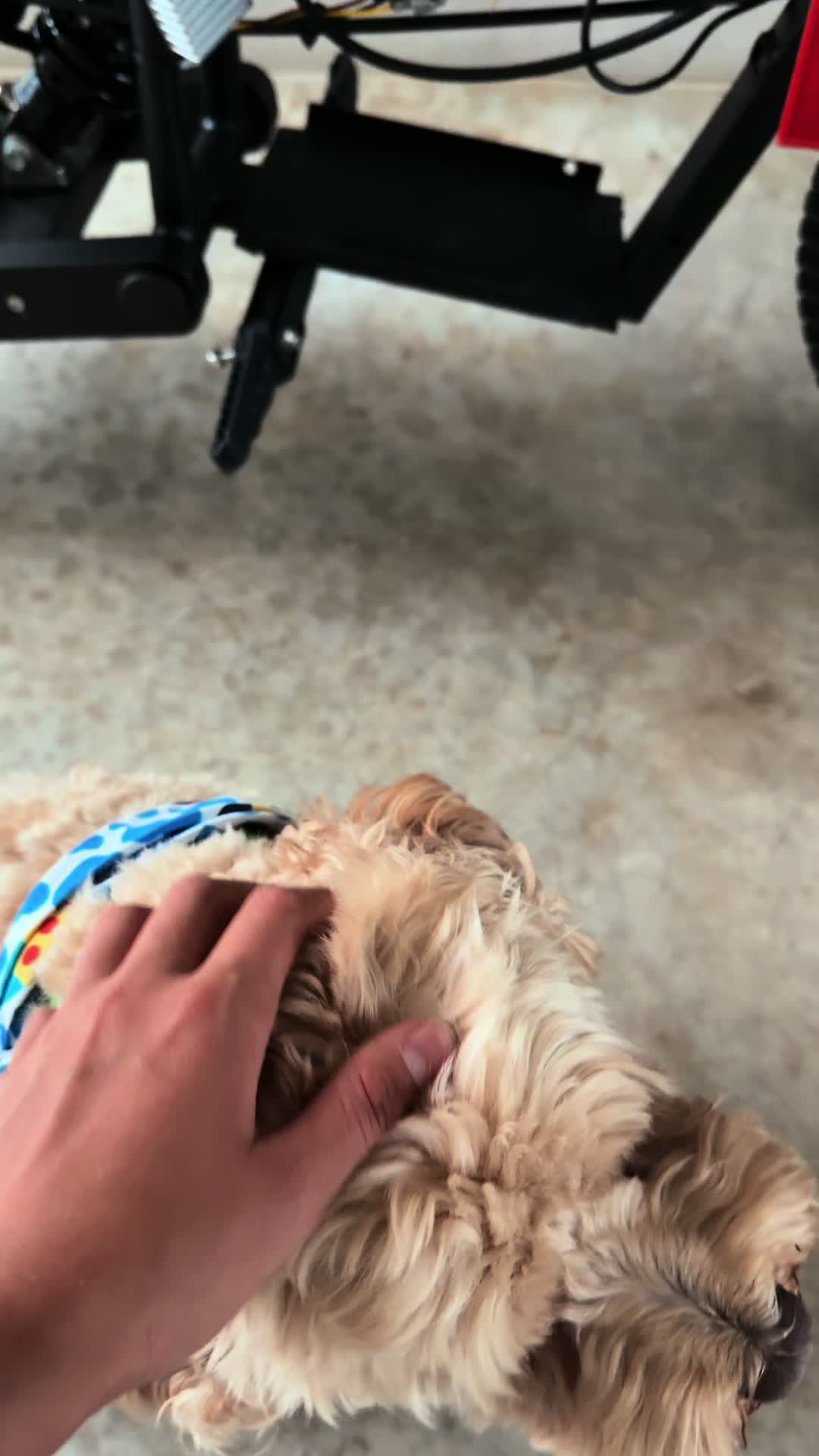 @Dtx.rzr