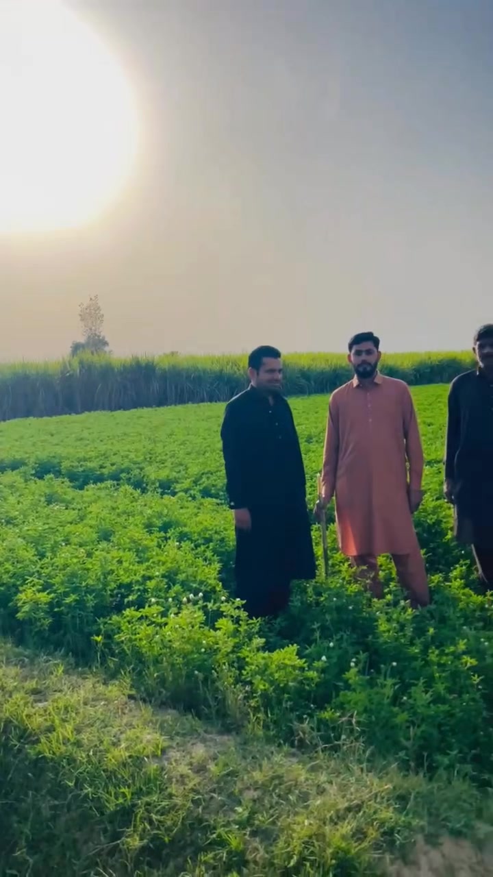 @Babu Khokhar