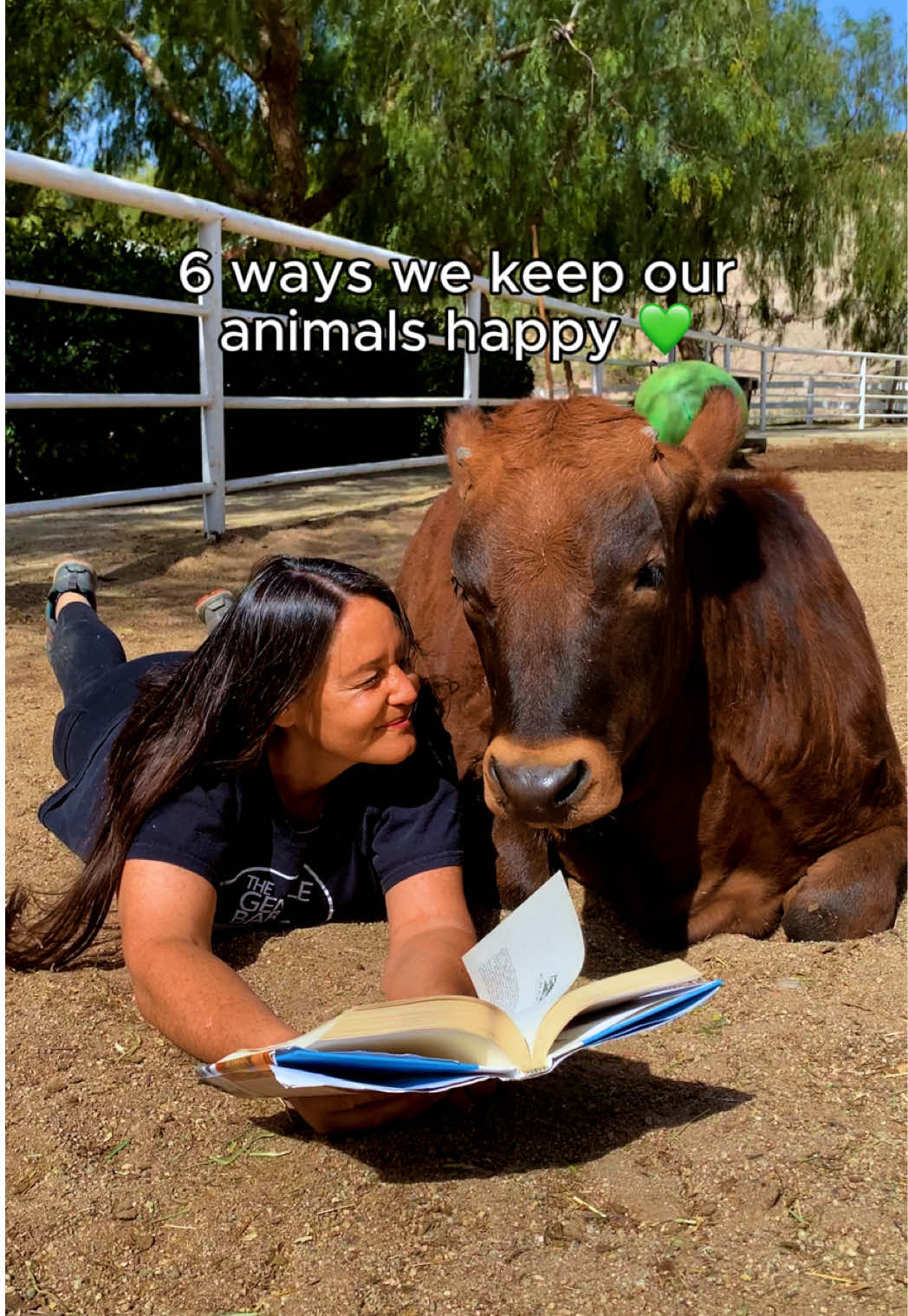 @The Gentle Barn | Sanctuary