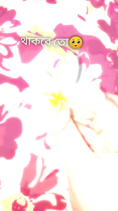 @@ Afifa Islam