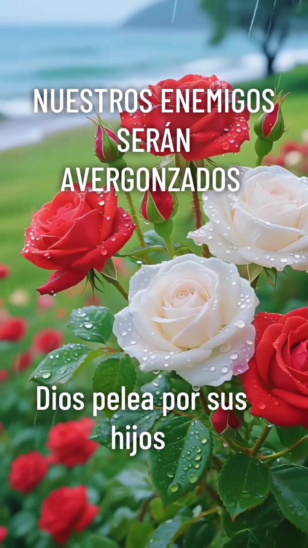 @Adelsomusicacristiana