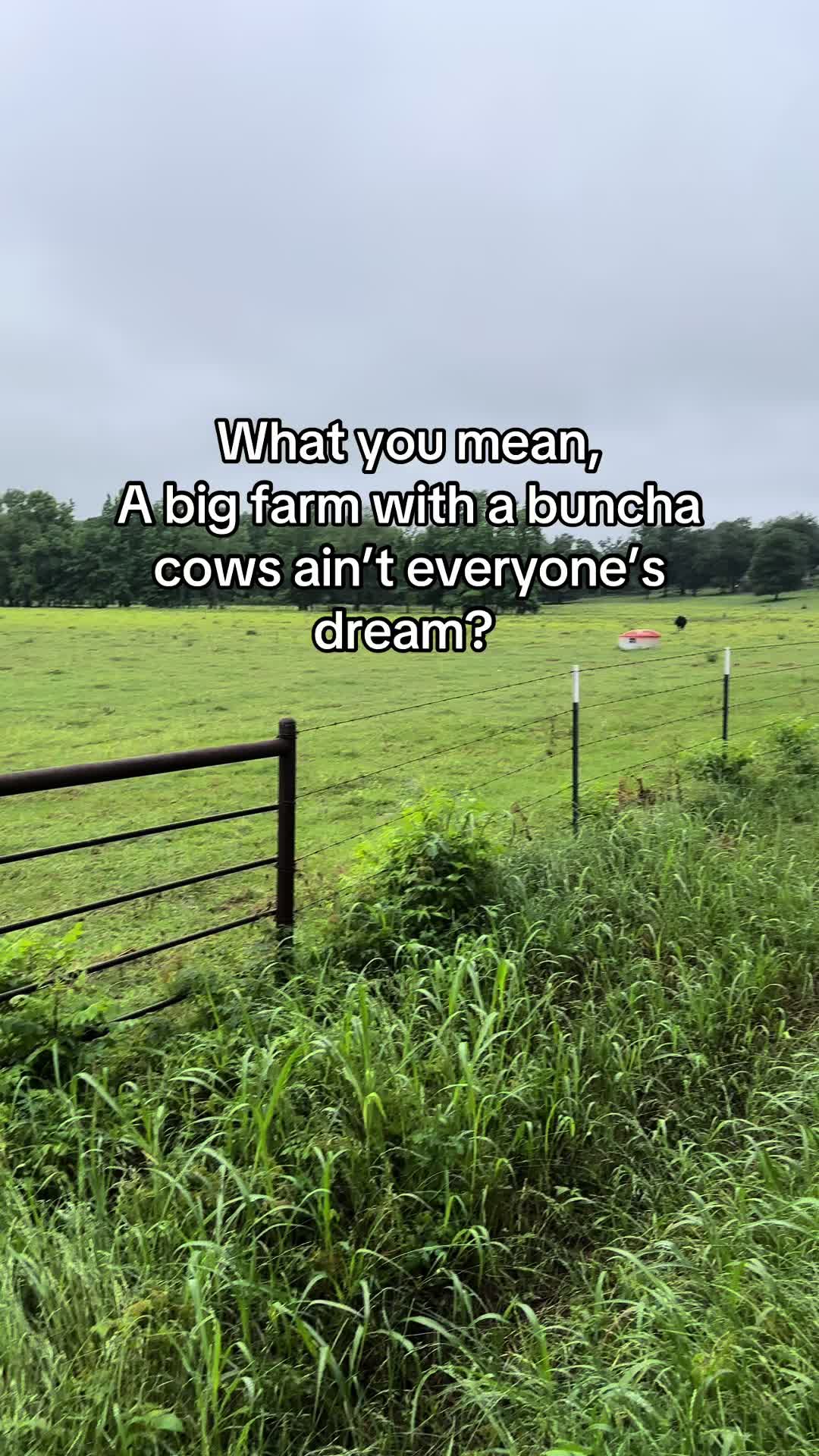 @Southerncountrybabe